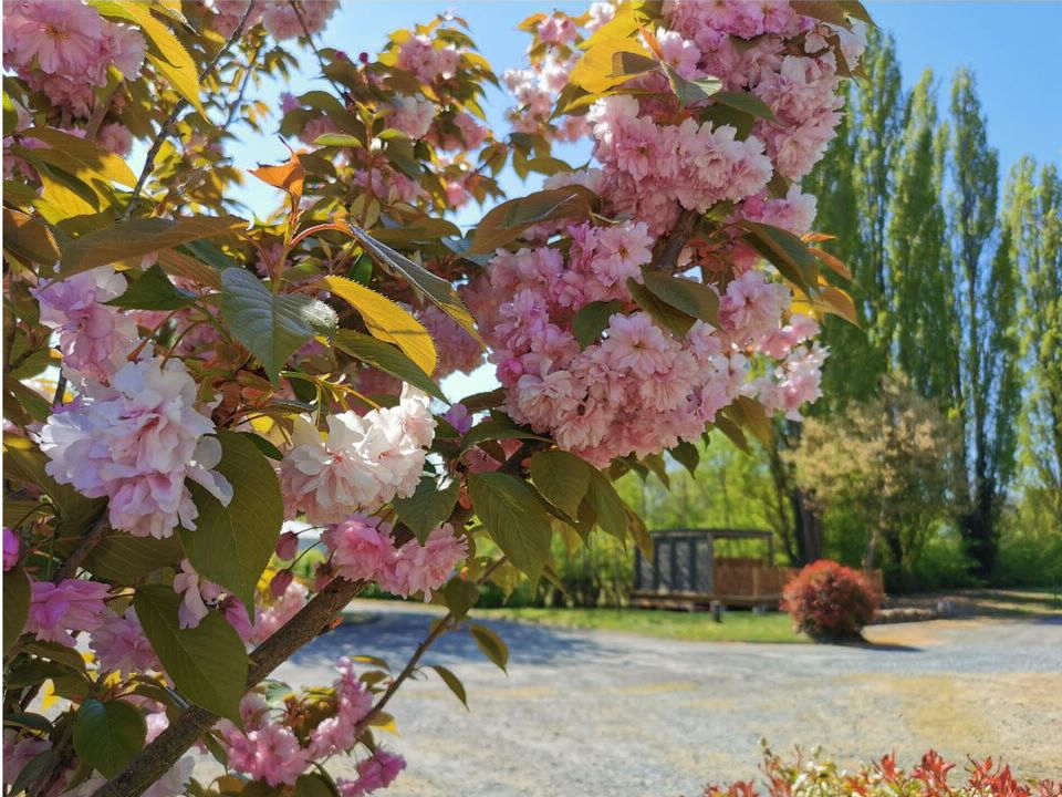 La Vallée de l'Indre Großes Zentrum - Montbazon visuel 6/13 La Vallée de l'Indre Großes Zentrum - Montbazon visuel 6/13