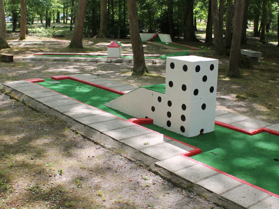 La Vallée de l'Indre Großes Zentrum - Montbazon visuel 3/13 La Vallée de l'Indre Großes Zentrum - Montbazon visuel 3/13