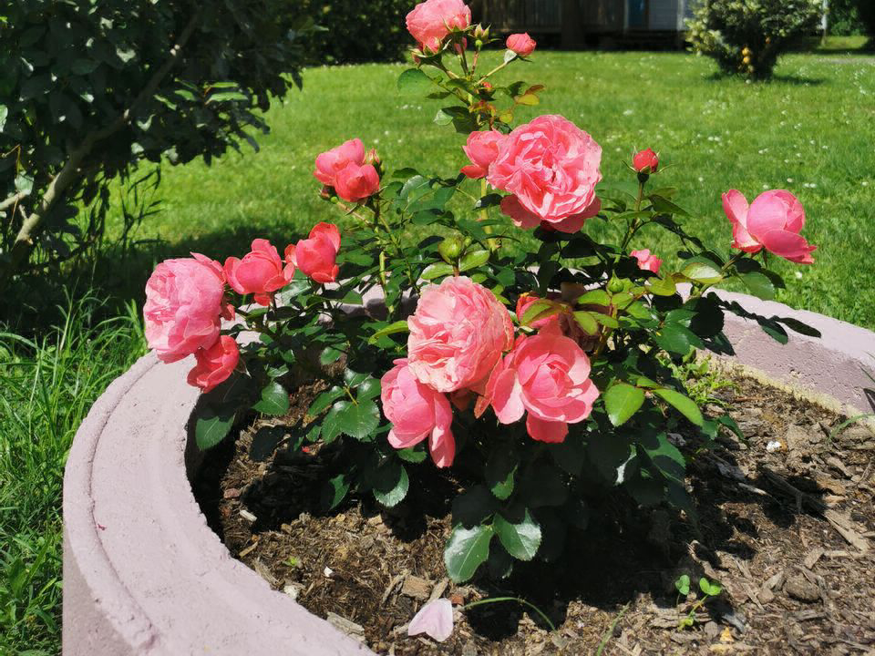 La Vallée de l'Indre Großes Zentrum - Montbazon visuel 8/13 La Vallée de l'Indre Großes Zentrum - Montbazon visuel 8/13