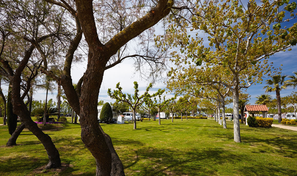 Las Palmeras Costa Brava - Sant Pere Pescador visuel 18/22 Las Palmeras Costa Brava - Sant Pere Pescador visuel 18/22