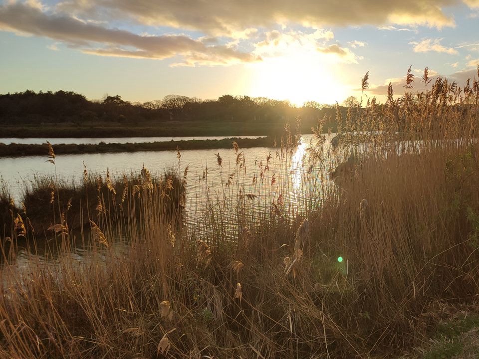 Le Beaupré Das Loire-Gebiet - Mesquer visuel 1/4