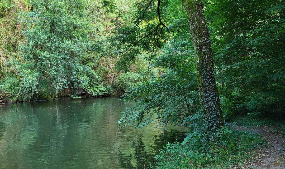 Le Bois Flottant Midi-Pyrénées - Lacrouzette visuel 5/7 Le Bois Flottant Midi-Pyrénées - Lacrouzette visuel 5/7
