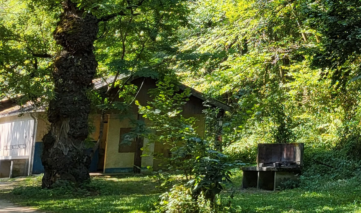 Le Bois Flottant Midi-Pyrénées - Lacrouzette visuel 2/7 Le Bois Flottant Midi-Pyrénées - Lacrouzette visuel 2/7