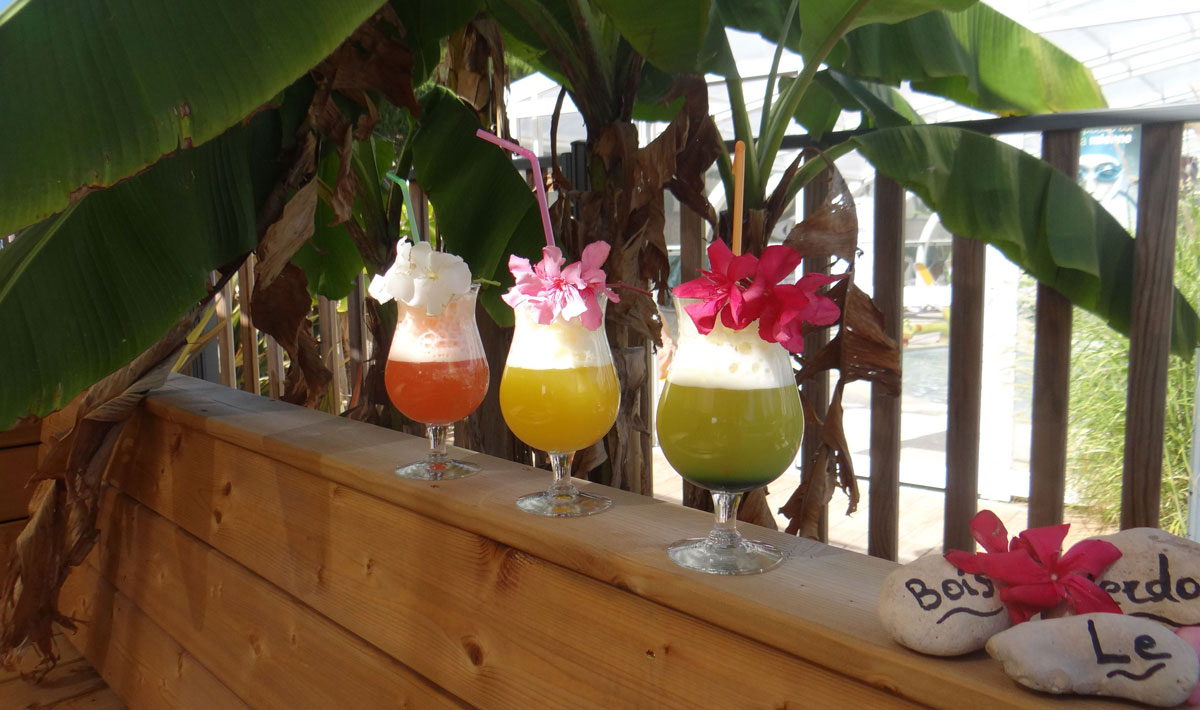 Le Bois Verdon Das Loire-Gebiet - Saint-Jean-de-Monts visuel 10/20 Le Bois Verdon Das Loire-Gebiet - Saint-Jean-de-Monts visuel 10/20