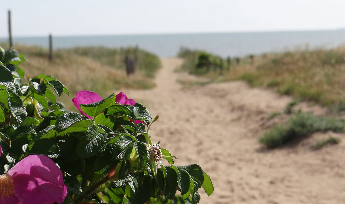 Le Bois Verdon Das Loire-Gebiet - Saint-Jean-de-Monts visuel 19/20 Le Bois Verdon Das Loire-Gebiet - Saint-Jean-de-Monts visuel 19/20