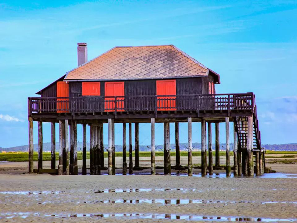 Le Braou Aquitanien - Audenge visuel 11/11