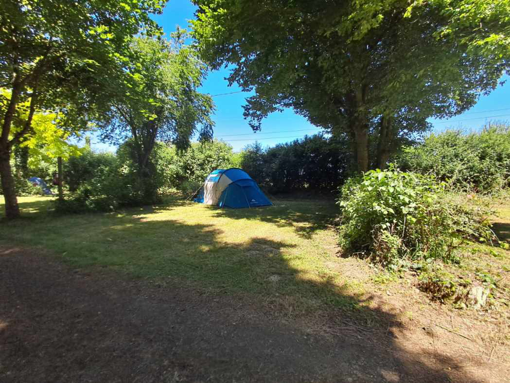 Le Jardin Botanique Großes Zentrum - Limeray visuel 4/4 Le Jardin Botanique Großes Zentrum - Limeray visuel 4/4