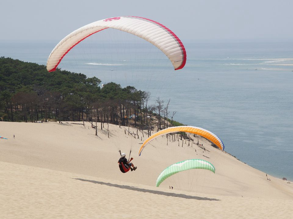 Le Lou Broustaricq Aquitanien - Sanguinet visuel 9/13