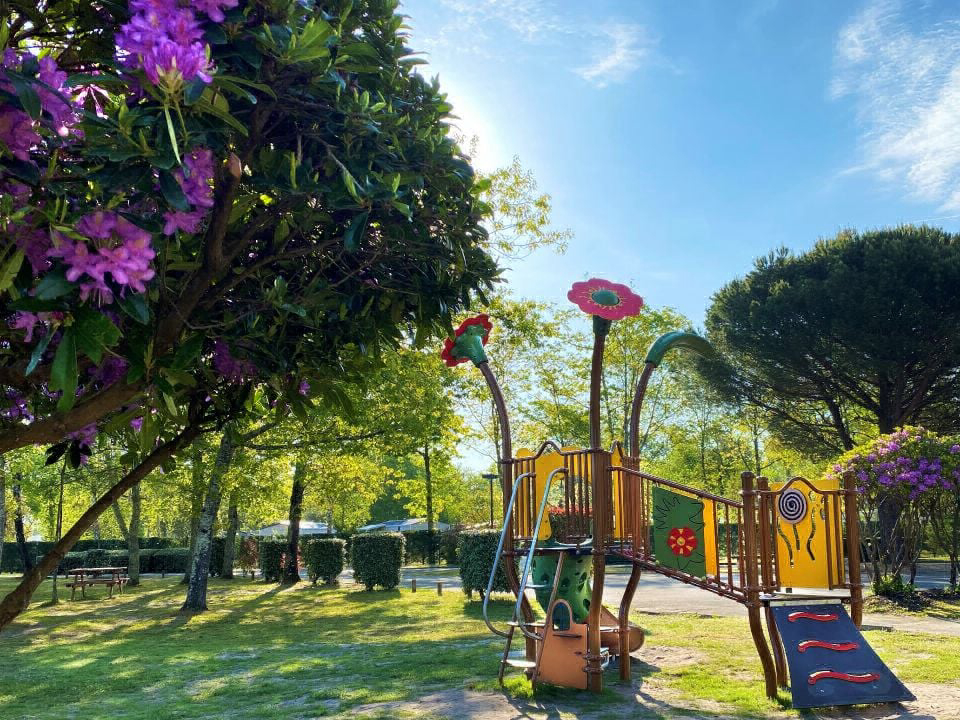 Le Lou Broustaricq Aquitanien - Sanguinet visuel 8/13