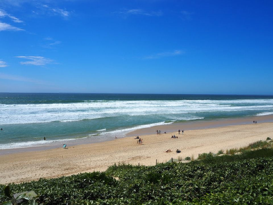 Le Lou Broustaricq Aquitanien - Sanguinet visuel 13/13