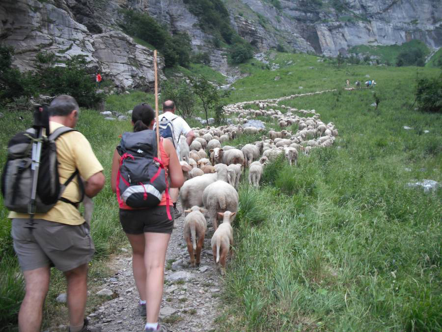 Le Pelly Rhône-Alpen - null visuel 2/3 Le Pelly Rhône-Alpen - null visuel 2/3