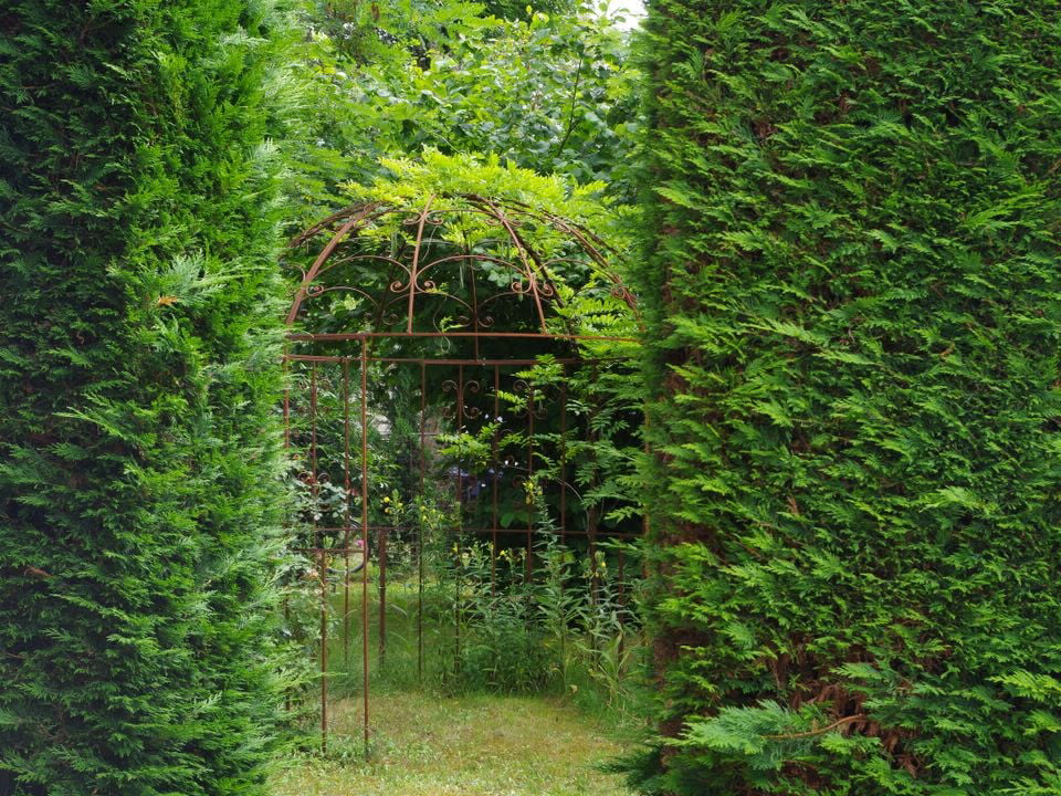 Le Sous Bois Poitou-Charentes - Saint-Pierre-d'Oléron visuel 3/11