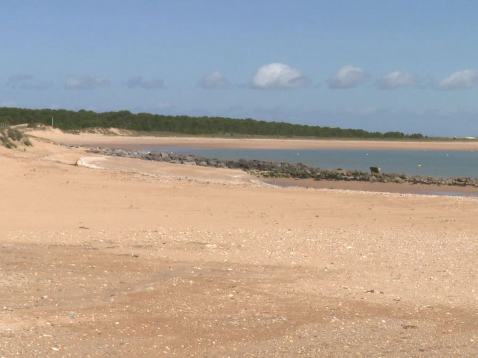 Le Sous Bois Poitou-Charentes - Saint-Pierre-d'Oléron visuel 9/11