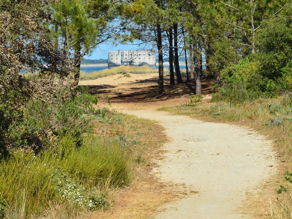 Le Sous Bois Poitou-Charentes - Saint-Pierre-d'Oléron visuel 10/11
