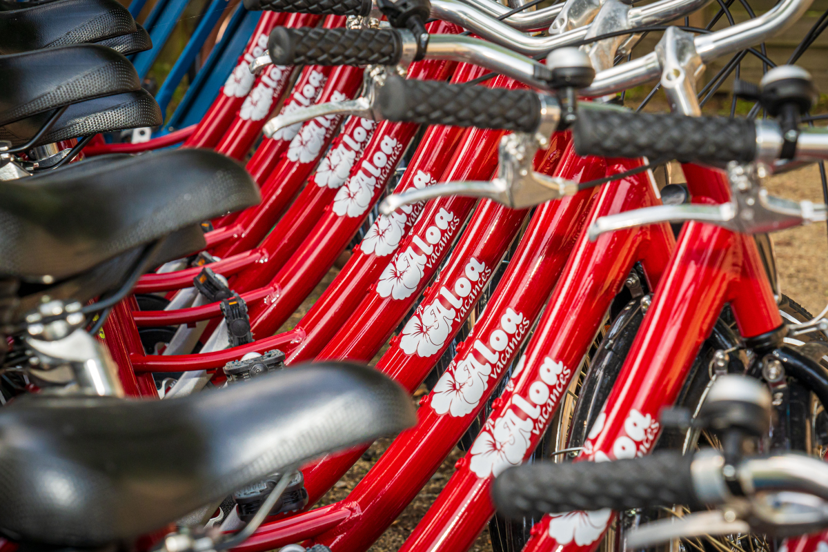 Les Ajoncs d'Or Das Loire-Gebiet - La Baule-Escoublac visuel 40/42