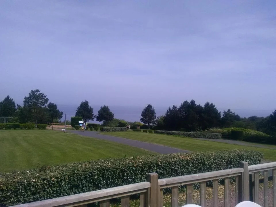 Les Ammonites Basse-Normandie - Auberville visuel 4/5