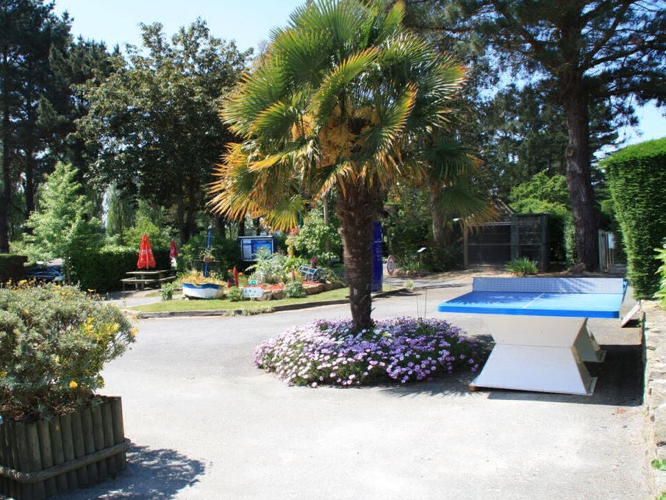 Les Capucines Bretagne - Trédrez-Locquémeau visuel 6/15 Les Capucines Bretagne - Trédrez-Locquémeau visuel 6/15