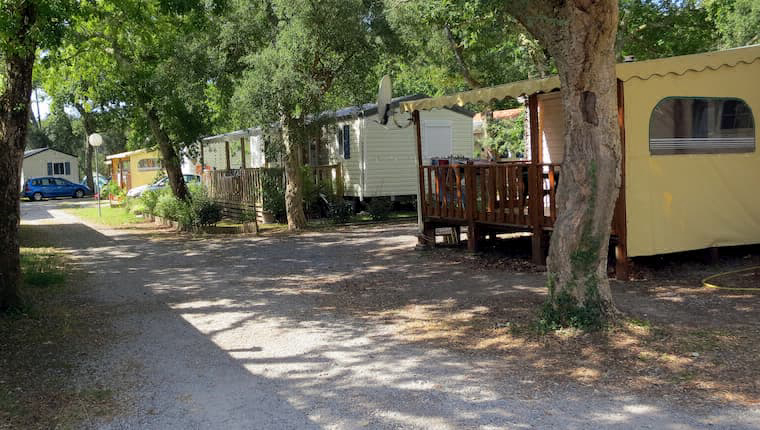 Les Chenes Aquitanien - Vieux-Boucau-les-Bains visuel 1/3 Les Chenes Aquitanien - Vieux-Boucau-les-Bains visuel 1/3