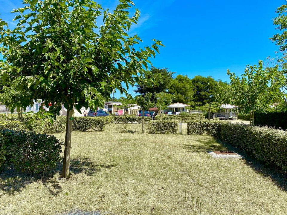 Les Coquettes Poitou-Charentes - Saint-Georges-d'Oléron visuel 3/6 Les Coquettes Poitou-Charentes - Saint-Georges-d'Oléron visuel 3/6