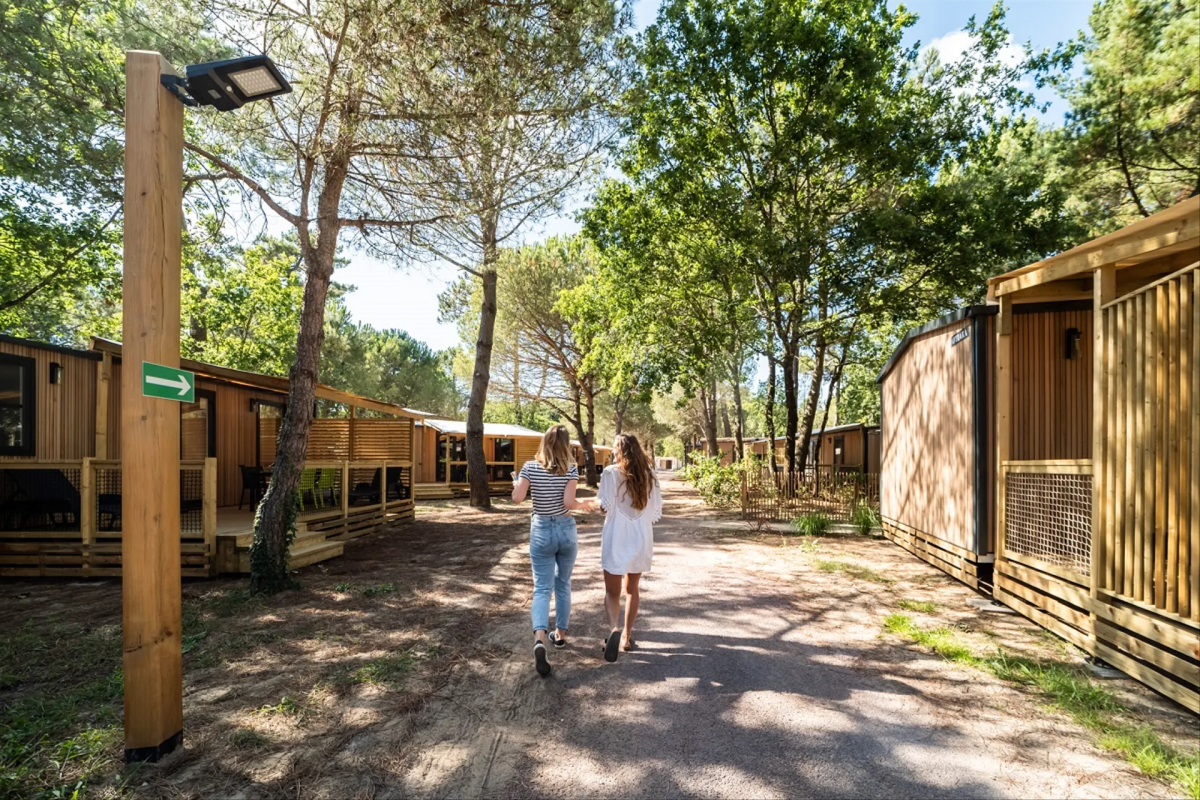 Les Couleurs de la Coubre Poitou-Charentes - Les Mathes-La Palmyre visuel 3/4 Les Couleurs de la Coubre Poitou-Charentes - Les Mathes-La Palmyre visuel 3/4