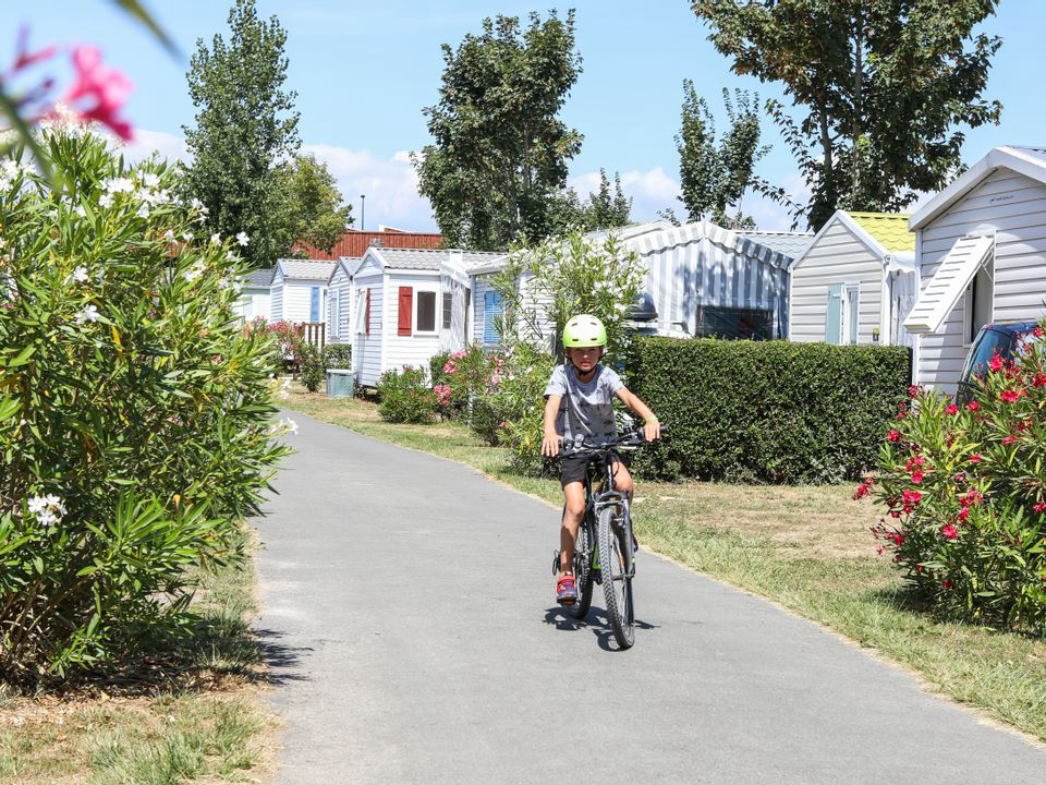 Les Dinosaures Das Loire-Gebiet - Talmont-Saint-Hilaire visuel 16/18 Les Dinosaures Das Loire-Gebiet - Talmont-Saint-Hilaire visuel 16/18