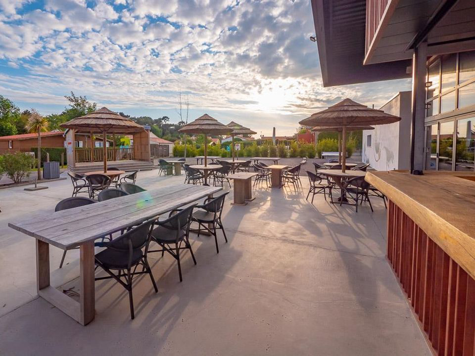 Les Dinosaures Das Loire-Gebiet - Talmont-Saint-Hilaire visuel 8/18 Les Dinosaures Das Loire-Gebiet - Talmont-Saint-Hilaire visuel 8/18