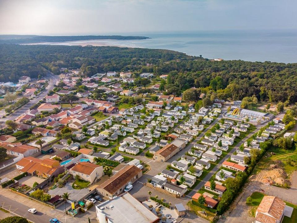 Les Dinosaures Das Loire-Gebiet - Talmont-Saint-Hilaire visuel 15/18 Les Dinosaures Das Loire-Gebiet - Talmont-Saint-Hilaire visuel 15/18