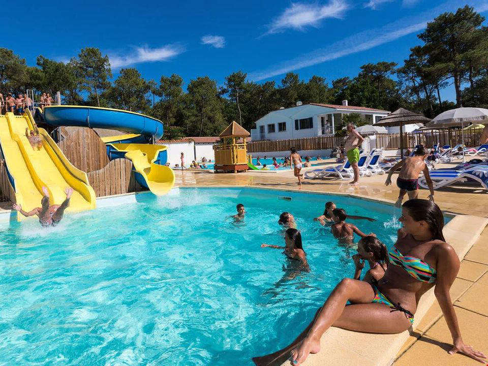 Les Dunes Das Loire-Gebiet - Longeville sur Mer visuel 2/12