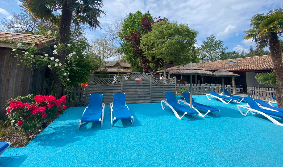 Les Ecureuils Aquitanien - Arès visuel 3/6