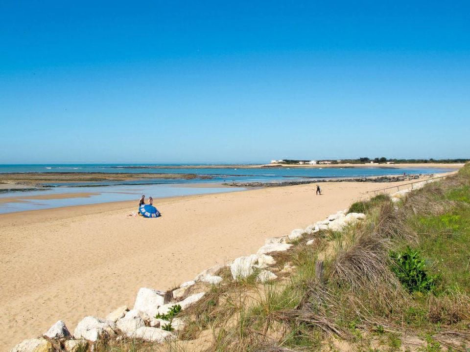 Les Gros Joncs Poitou-Charentes - Saint-Georges-d'Oléron visuel 11/12 Les Gros Joncs Poitou-Charentes - Saint-Georges-d'Oléron visuel 11/12