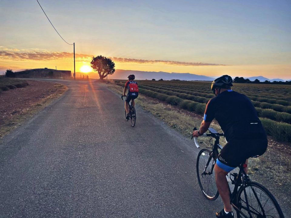 Les Lavandes Provence-Alpes-Côte d'Azur - Valensole visuel 3/4 Les Lavandes Provence-Alpes-Côte d'Azur - Valensole visuel 3/4