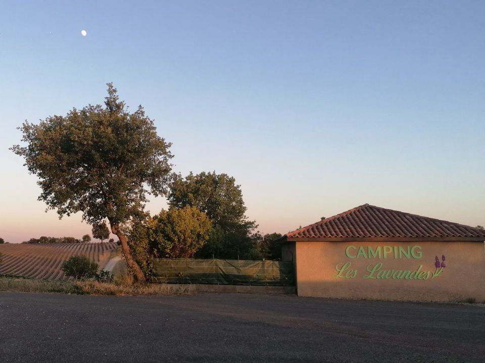 Les Lavandes Provence-Alpes-Côte d'Azur - Valensole visuel 2/4 Les Lavandes Provence-Alpes-Côte d'Azur - Valensole visuel 2/4