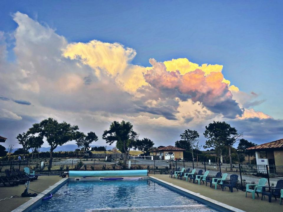 Les Lavandes Provence-Alpes-Côte d'Azur - Valensole visuel 4/4 Les Lavandes Provence-Alpes-Côte d'Azur - Valensole visuel 4/4