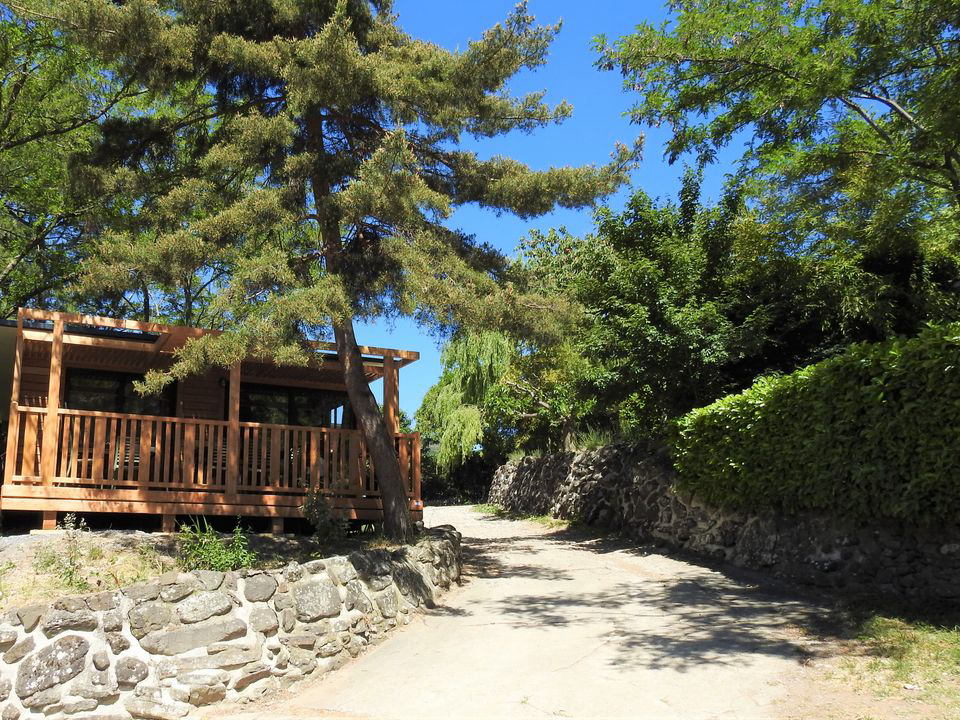 Les Lavandes Rhône-Alpen - Darbres visuel 5/14