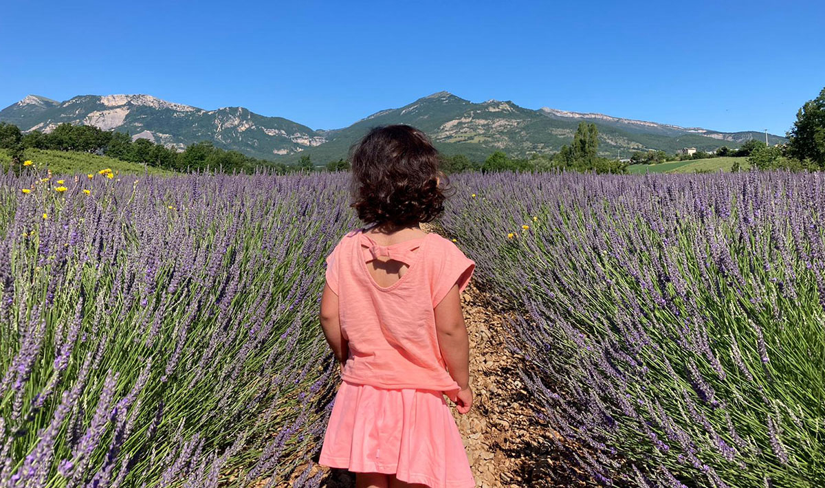 Les Myotis Provence-Alpes-Côte d'Azur - Sisteron visuel 7/17 Les Myotis Provence-Alpes-Côte d'Azur - Sisteron visuel 7/17