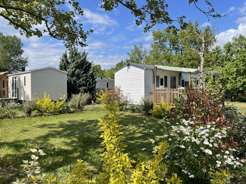 Les Myotis Provence-Alpes-Côte d'Azur - Sisteron visuel 1/17 Les Myotis Provence-Alpes-Côte d'Azur - Sisteron visuel 1/17