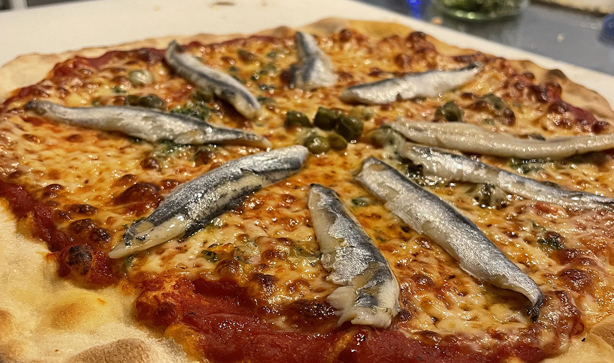 Les Myotis Provence-Alpes-Côte d'Azur - Sisteron visuel 11/17 Les Myotis Provence-Alpes-Côte d'Azur - Sisteron visuel 11/17