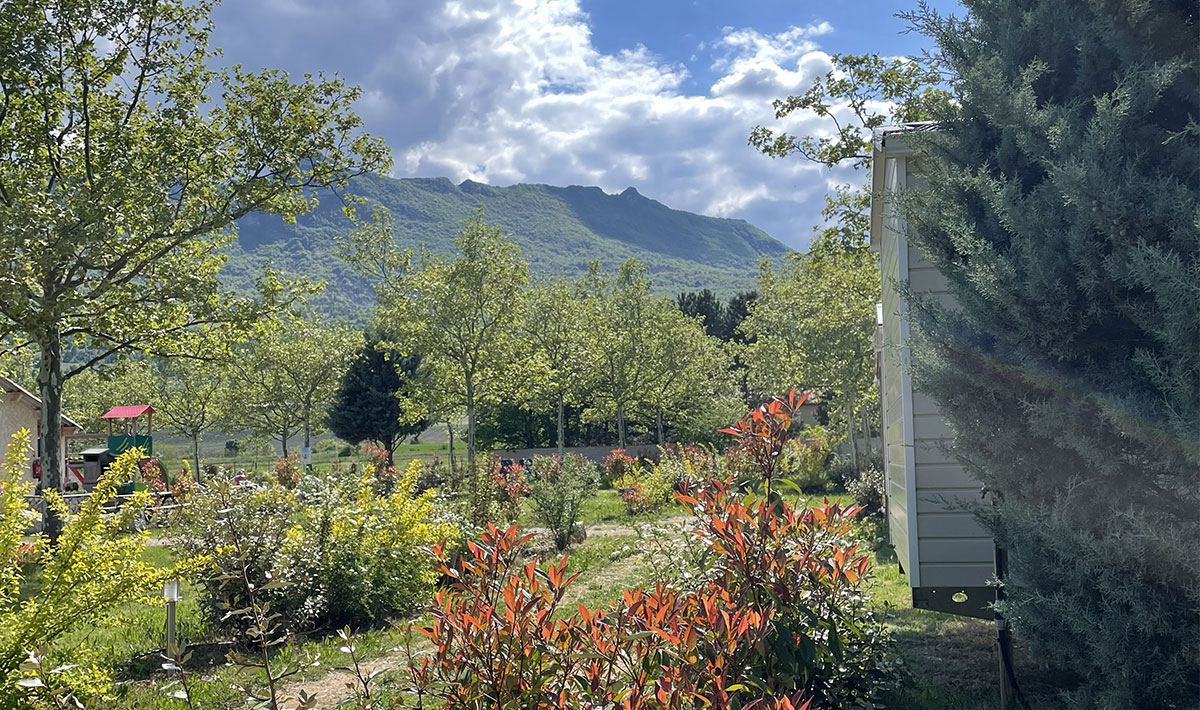 Les Myotis Provence-Alpes-Côte d'Azur - Sisteron visuel 9/17 Les Myotis Provence-Alpes-Côte d'Azur - Sisteron visuel 9/17