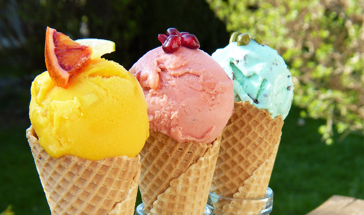 Les Myotis Provence-Alpes-Côte d'Azur - Sisteron visuel 2/17 Les Myotis Provence-Alpes-Côte d'Azur - Sisteron visuel 2/17