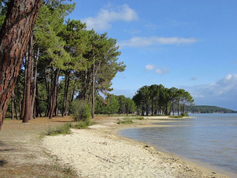 Les Petits Ecureuils Aquitanien - Biscarrosse visuel 4/4