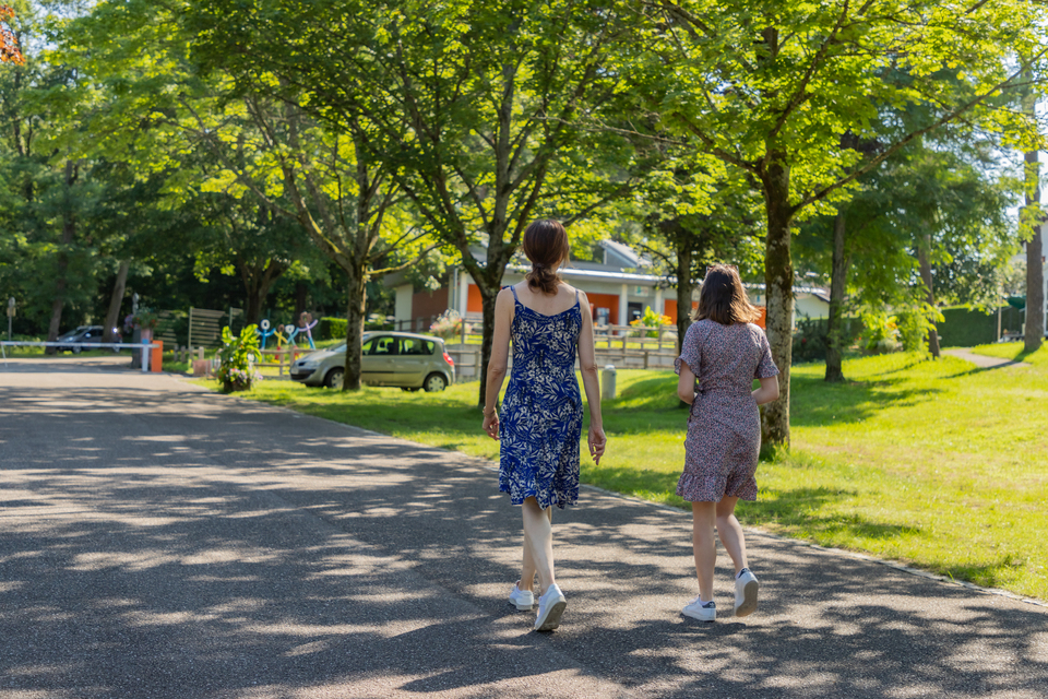 Les Pins Elsass - null visuel 1/6 Les Pins Elsass - null visuel 1/6