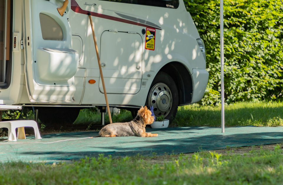 Les Pins Elsass - null visuel 4/6 Les Pins Elsass - null visuel 4/6