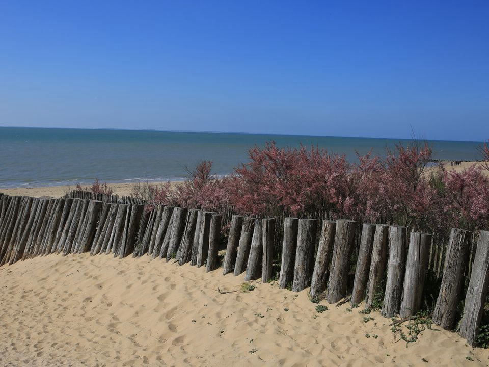 Les Préveils Das Loire-Gebiet - La Tranche-sur-Mer visuel 7/7