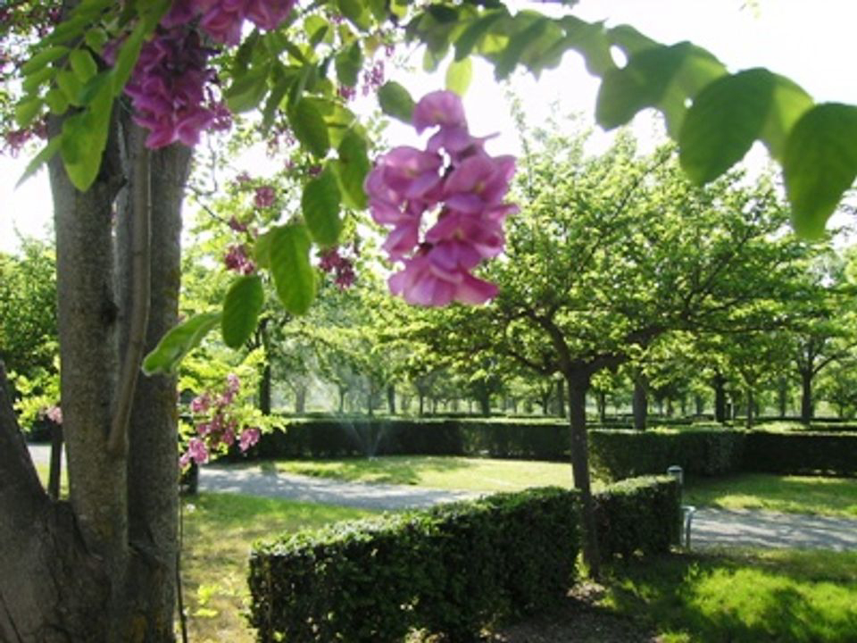 La Meuse Languedoc-Roussillon - Gignac visuel 5/7