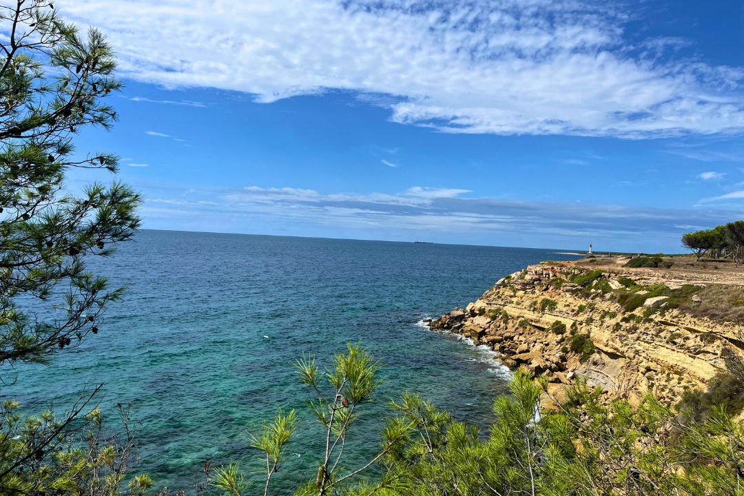 Les Tamaris Provence-Alpes-Côte d'Azur - Martigues visuel 3/15