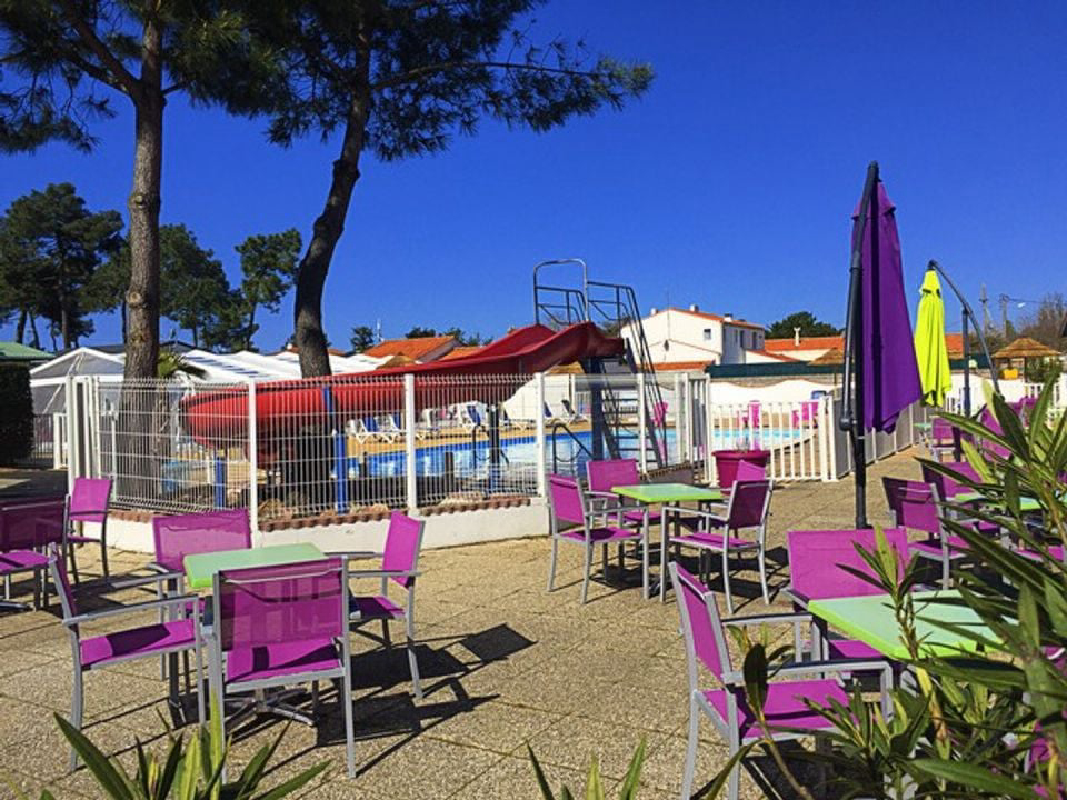 Les Violettes Das Loire-Gebiet - La Faute-sur-Mer visuel 5/12 Les Violettes Das Loire-Gebiet - La Faute-sur-Mer visuel 5/12