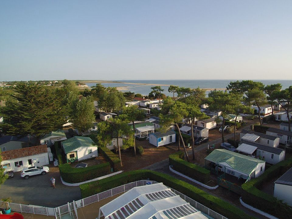 Les Violettes Das Loire-Gebiet - La Faute-sur-Mer visuel 6/12 Les Violettes Das Loire-Gebiet - La Faute-sur-Mer visuel 6/12