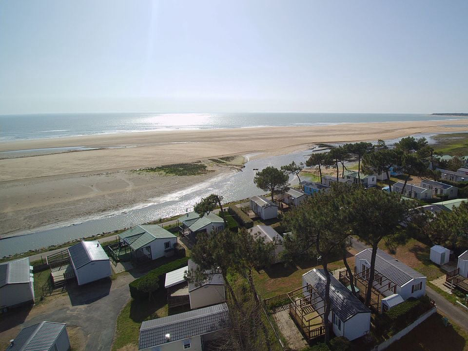 Les Violettes Das Loire-Gebiet - La Faute-sur-Mer visuel 9/12 Les Violettes Das Loire-Gebiet - La Faute-sur-Mer visuel 9/12