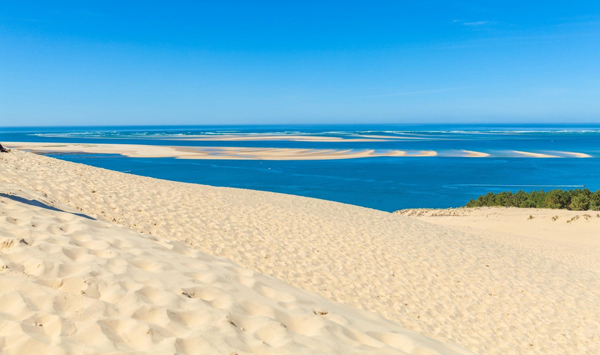 Les Viviers Aquitanien - Lège Cap Ferret visuel 6/15