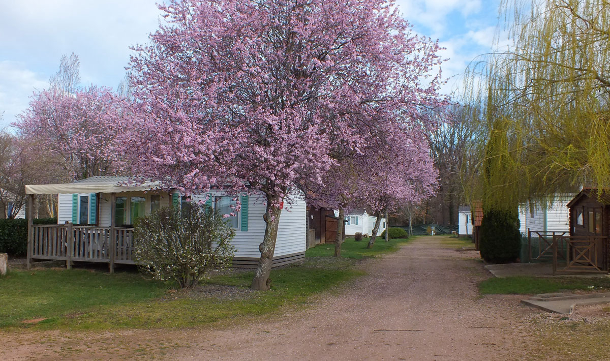 Libertin La Roseraie Auvergne - Brugheas visuel 6/11 Libertin La Roseraie Auvergne - Brugheas visuel 6/11